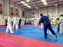 Image result for Universal Judo Academies