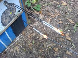 Image result for Panther Bowhunters Field Archery Club