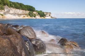 Image result for stevns klint