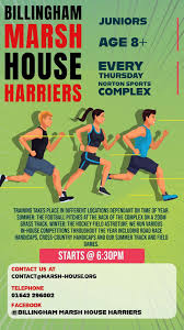 Image result for Billingham Marsh House Harriers