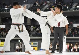 Image result for Kyokushin Karate