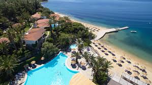 Image result for Palace Eagles Octopush Club