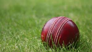 Image result for Lymm Oughtrington Park Cricket Club