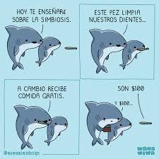 Image result for photos de mi...ved=0CCsQsAQwAA