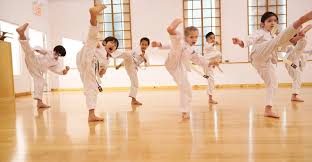 Image result for Aylesbury Vale Seido Karate
