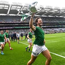 Image result for University Of Limerick Gaa Hurling Club