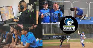 Image result for Stratton Bowling Club