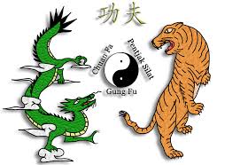 Image result for Silat Perisai Diri Classes Club