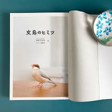 「海老沢和生」の画像検索結果