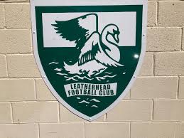 Image result for Leatherhead Football Club