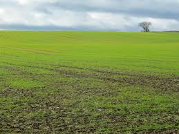 Image result for Sawtry Cc