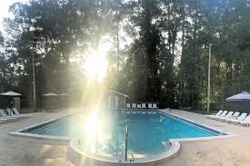 Image result for Leek Swimming Club