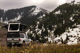 Image result for mountain top seashell