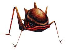 Attēlu rezultāti vaicājumam “Gerridae imago”