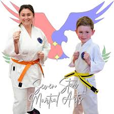 Image result for Swansea Taekwondo Club
