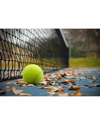 Image result for Strines Tennis Club