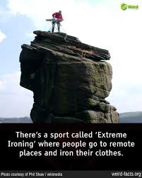 Image result for extreme ironing