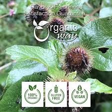 Attēlu rezultāti vaicājumam “Arctium lappa fruit”