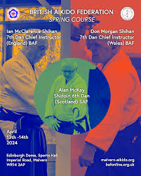 Image result for Aikido - Shobu UK