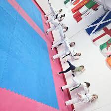 Image result for Utf Taekwondo Cymru Cardiff