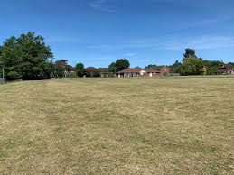 Image result for Worplesdon & Burpham Cricket Club