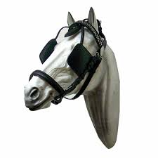 Image result for scheuklappen