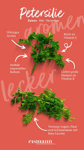 Image result for Petersilie