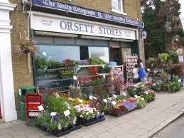 Image result for Orsett Cc