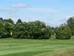 Image result for Feltwell Golf Club