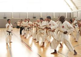 Image result for Tsunami Karate Club