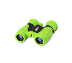 Image result for loopveer