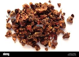 Attēlu rezultāti vaicājumam “Potentilla erecta fruit”