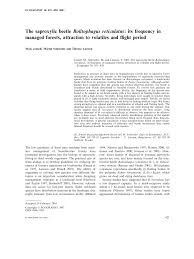 Attēlu rezultāti vaicājumam “Bolitophagus reticulatus larva”