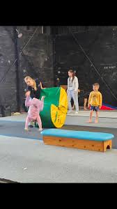 Image result for City Of Cambridge Gymnastics Club