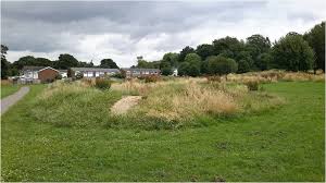 Image result for Waterlooville Cricket Club