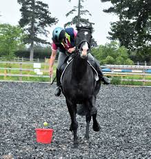 Image result for East Riding Junior Badminton Club