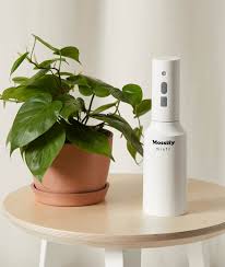 Image result for mister