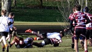 Image result for Newcastle(Staffs) Rugby Union Football Club