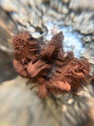 Attēlu rezultāti vaicājumam “Stemonitis splendens”