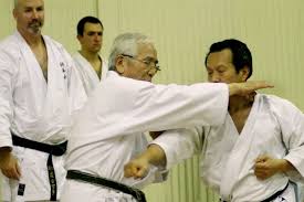 Image result for GoJu-Kai Karate Club