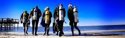 Image result for Abyss Dive Club