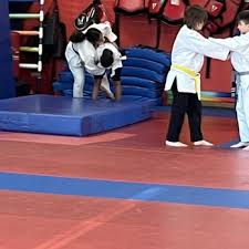Image result for Blackpool Budokan Martial Arts