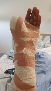 Image result for The Paddock Cricket Club