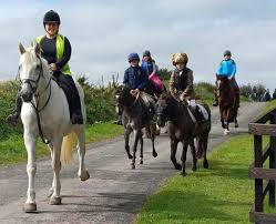 Image result for East Flegg Riding Club