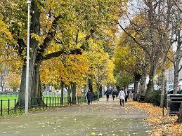 Image result for City Of Armagh Cricket Club