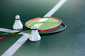Image result for Shuttlecocks Badminton Club