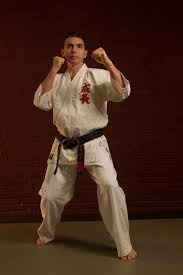Image result for Zen Shin Seicho Do Adult Karate