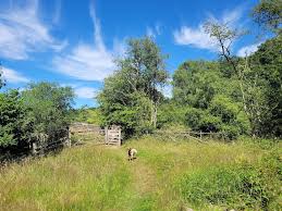 Image result for Wilden Village Cricket Club