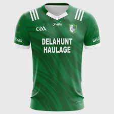 Image result for Wolfe Tones Gaelic Athletic Club