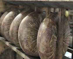 Image result for Romseysac